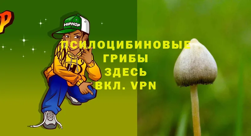 Псилоцибиновые грибы Cubensis  хочу   Благодарный 